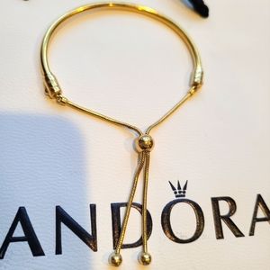 Pandora Shine Moments Bangle